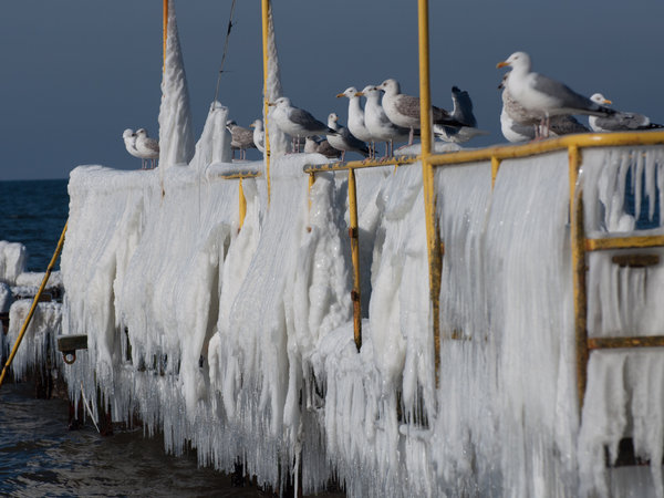 Rowy im Winter — Foto 14