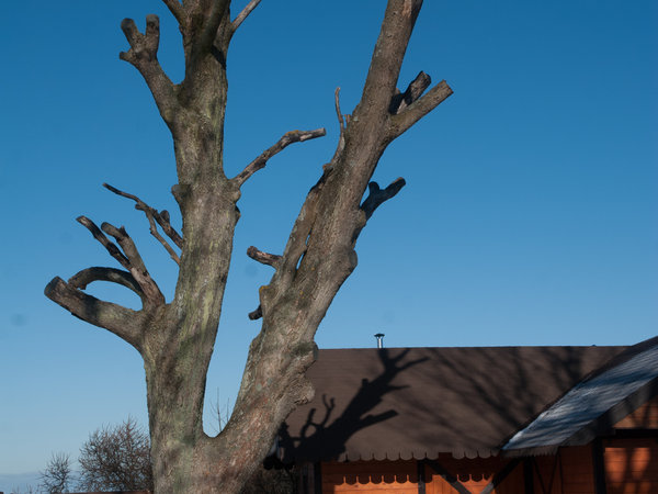 Rowy im Winter — Foto 15