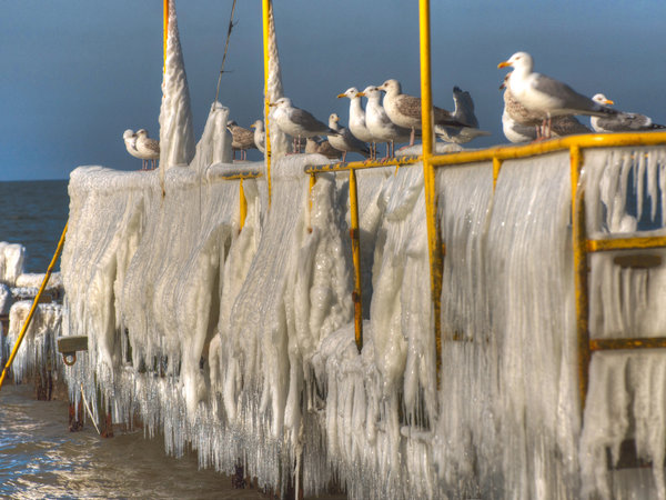 Rowy im Winter — Foto 17