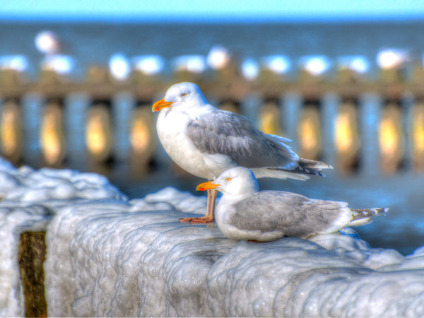 Rowy im Winter — Foto 18